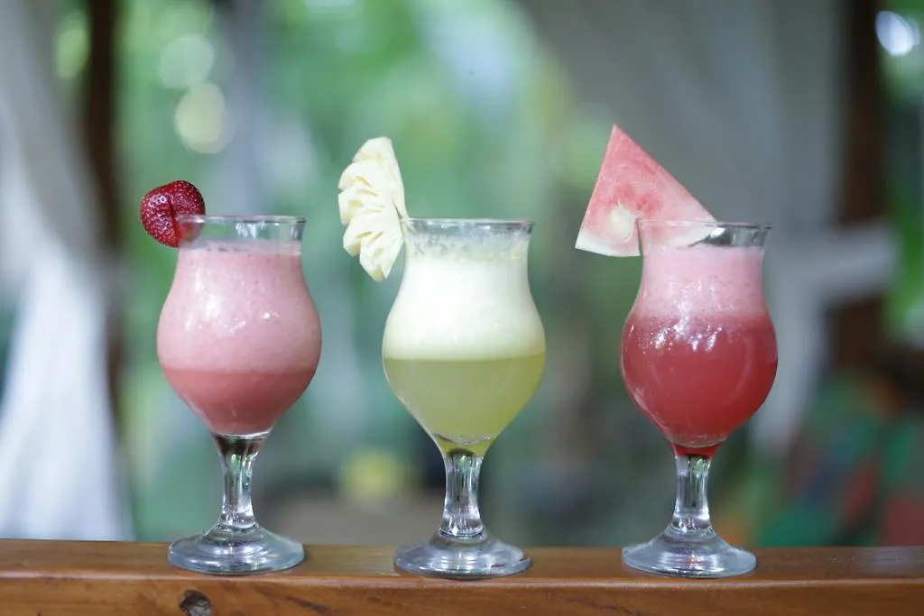 Karang Mesari Ubud Guest House Indonesia